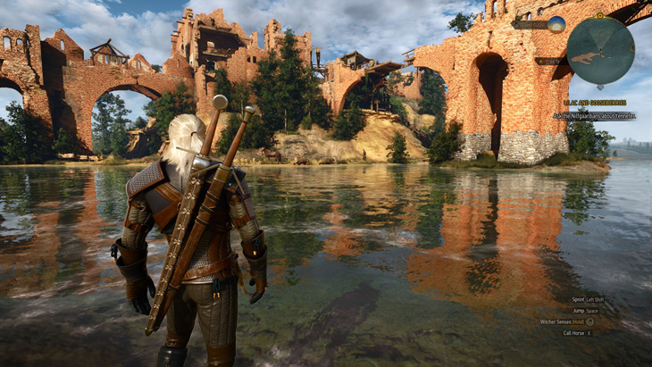 The Witcher 3 Tam Sürüm PC
