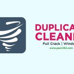 Duplicate Cleaner Pro v5.20 (Windows)