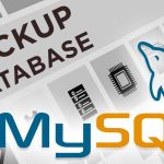 PHPMyAdmin’de MySQL Veritabanı Nasıl Yedeklenir ve Geri Yüklenir