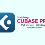 Steinberg Cubase Pro 13.0.20 (Windows)