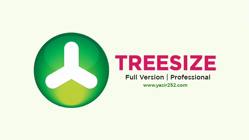 TreeSize Profesyonel v9.1.2