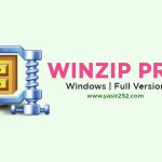 WinZip Pro 28.0 Yapı 15620 (Windows)