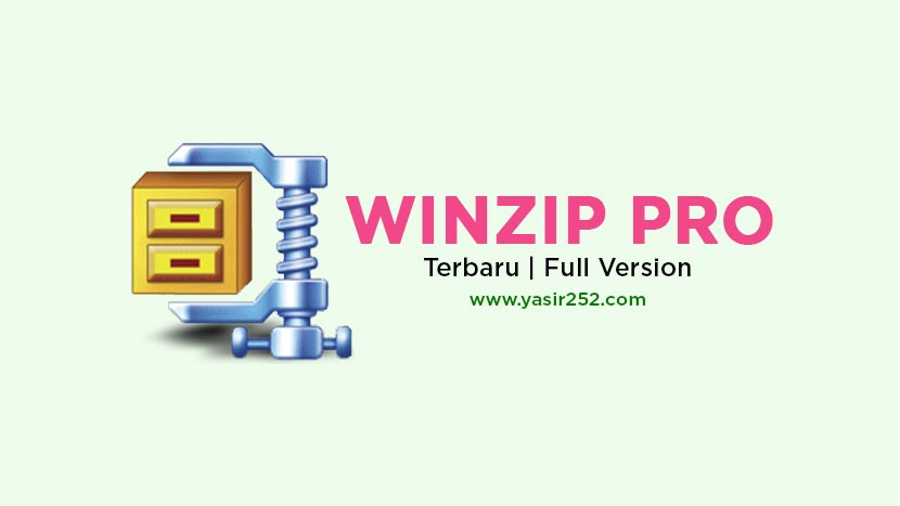 WinZip Pro v28.0 (Windows)