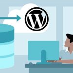 WordPress Duplicator Eklentisi ile Bir Web Sitesini Taşıma veya Yedekleme