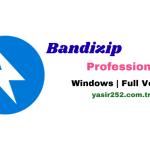 Bandizip Professional