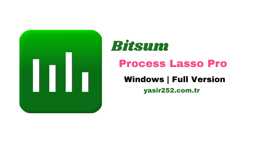 Bitsum Process Lasso Pro