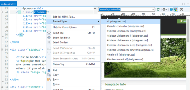 Blumentals Webuilder 2 ücretsiz indir
