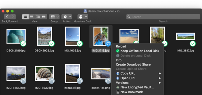 Mountain Duck ücretsiz indir