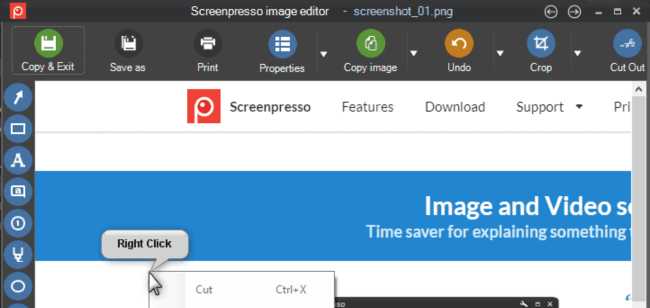 Screenpresso Pro tam indirme