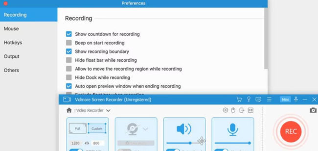 Vidmore Screen Recorder tam indirme (1)