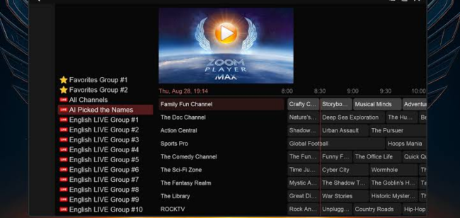 Zoom Player Max (1)