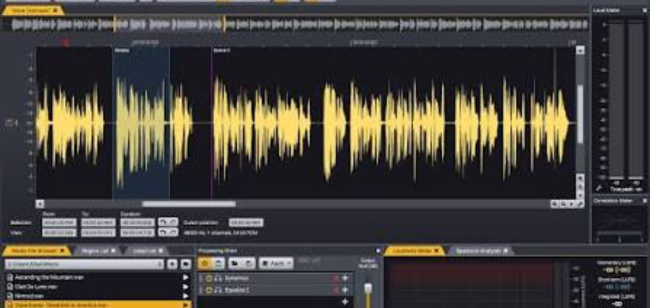 Acorn Digital Acoustica Premium (1)