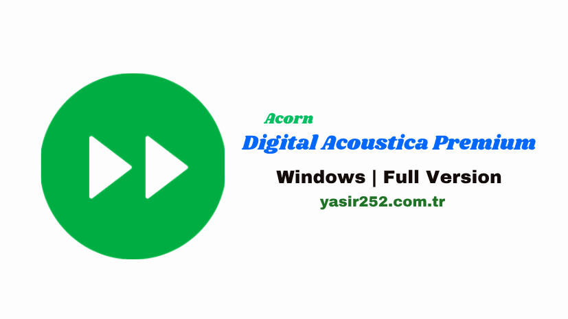 Acorn Digital Acoustica Premium (2)