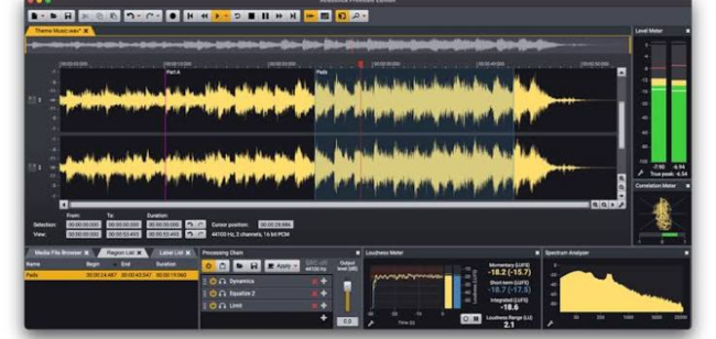 Acorn Digital Acoustica Premium