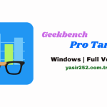 Geekbench Pro Tam (2)