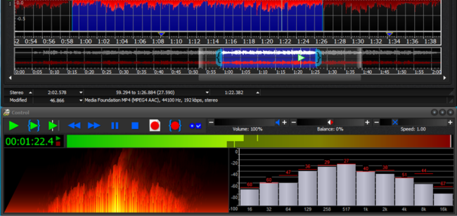 GoldWave (1)
