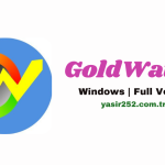 GoldWave (2)