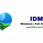 IDM (2)