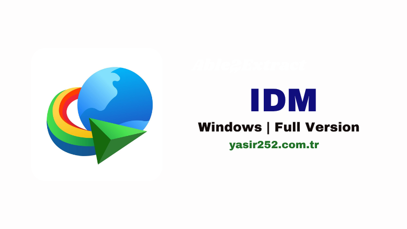 IDM (2)
