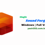 Magix Sound Forge Pro