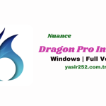 Nuance Dragon Pro Individual