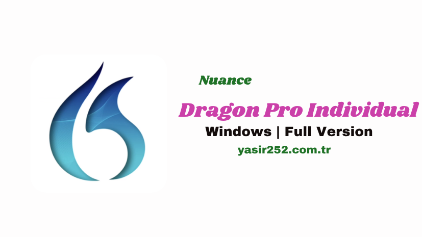 Nuance Dragon Pro Individual