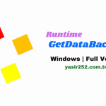 Runtime GetDataBack Pro (2)