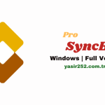 SyncBackPro (2)