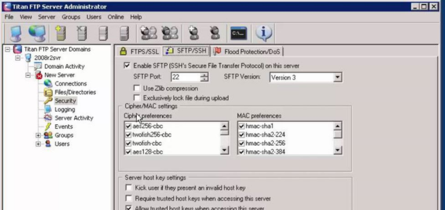 Titan SFTP Server (1)