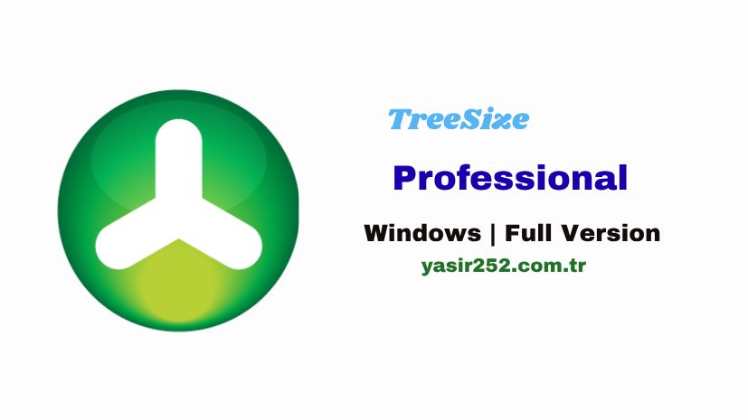 TreeSize Professional (2)