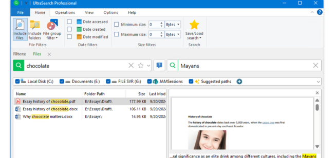 UltraSearch Professional (1)
