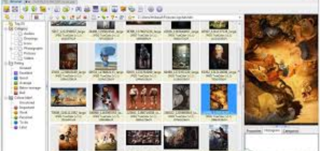 XNView (1)