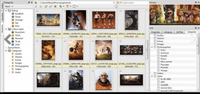 XNViewMP (1)